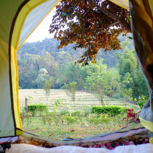 a view of a field through a tent
